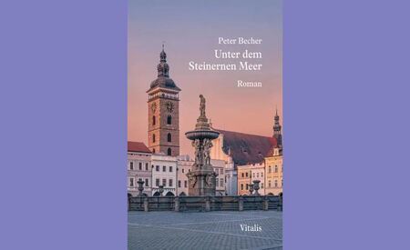 Buchcover "Unter dem Steinernen Meer"